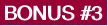BONUS #3